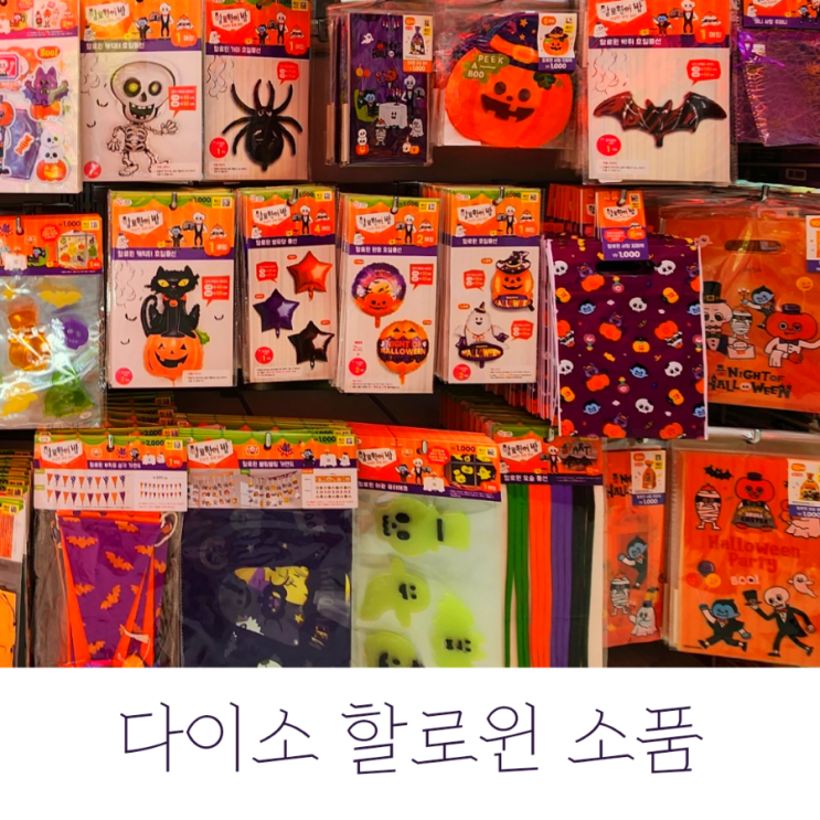  다이소 할로윈 소품 순천신대점 구경 for 할로윈 캠핑