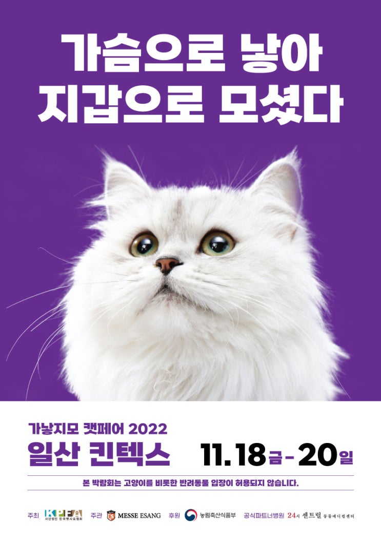  가낳지모 캣페어 고양이 박람회 정보 (구 케이캣페어)