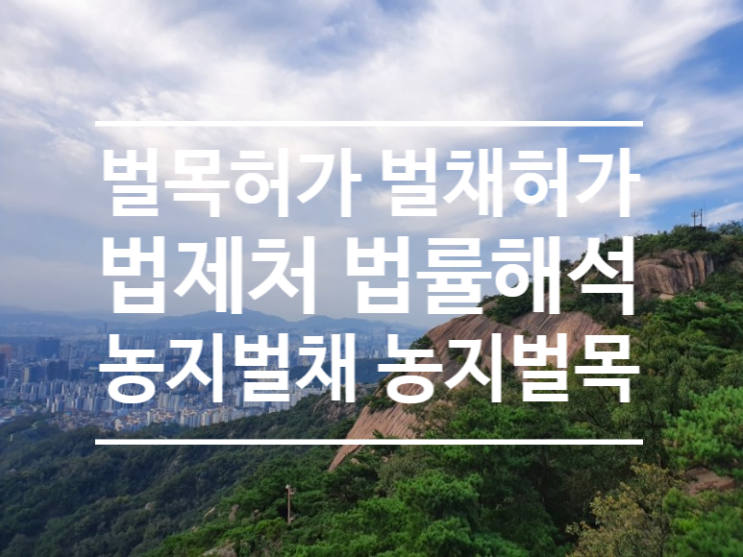  벌목허가 벌채허가 법제처 법령해석 농지벌채 농지벌목 임의벌채 산림소유자 동의 (법령해석 1탄)