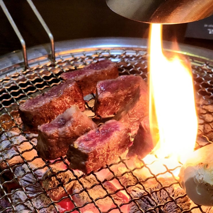  강남역 소고기 급이 다른 투뿔한우 진씨화로 역삼역 고기집