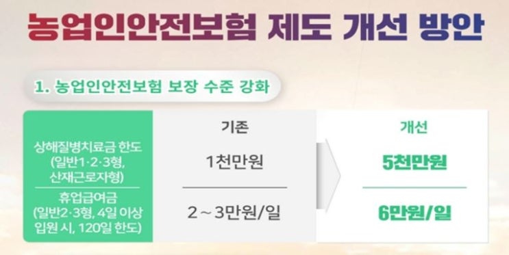 상해질병치료금 최대 5천만원까지…농업인안전보험 보장 강화 상해질병치료금 최대 5천만원까지…농업인안전보험 보장 강화