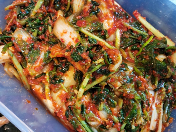  봉우리김치 / 이하연명인의 열무얼갈이김치 진짜 시원하니 맛있네