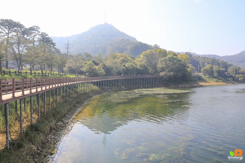 전북 드라이브 코스 김제 금평저수지 걷기 좋은길 가을 나들이 : 네이버 블로그 전북 드라이브 코스 김제 금평저수지 걷기 좋은길 가을 나들이 : 네이버 블로그