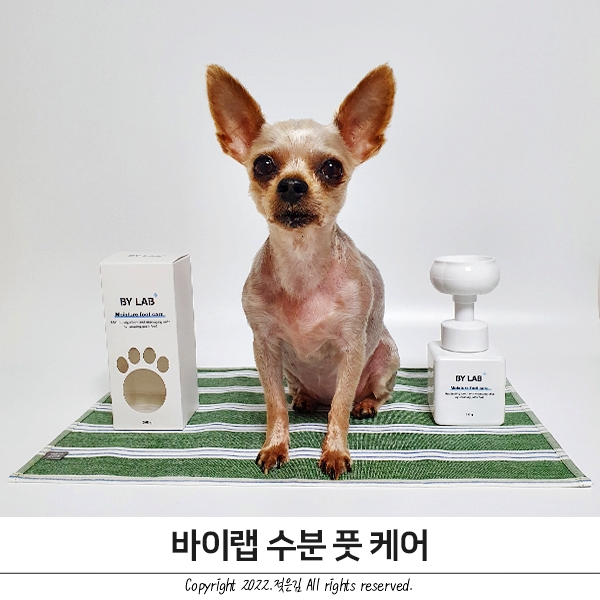 강아지발바닥 모양 거품이 만들어지는 바이랩 발세정제 강아지발바닥 모양 거품이 만들어지는 바이랩 발세정제