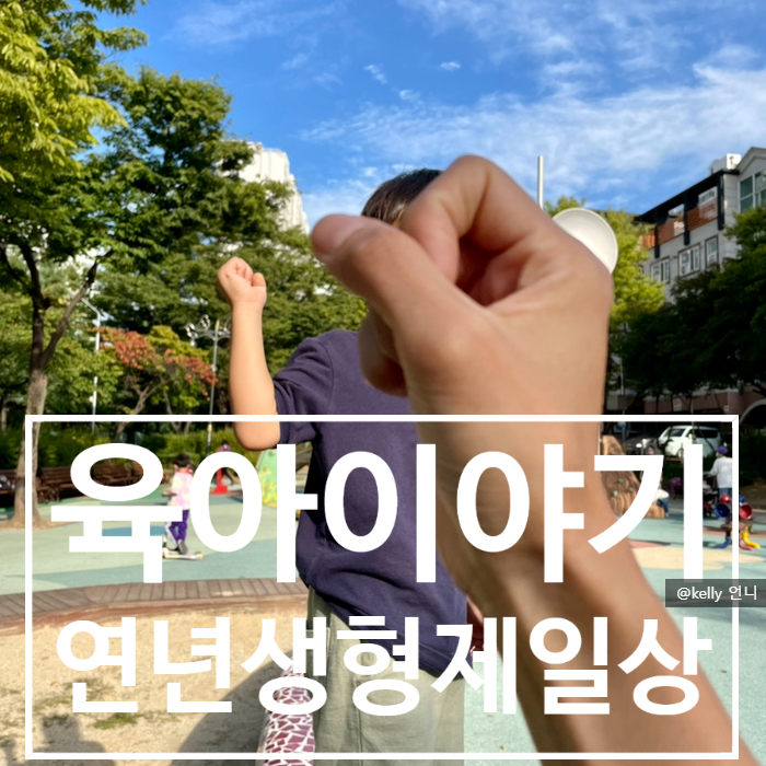  [연년생형제] 육아 이야기 , 아들 둘은 체력과의 싸움이다