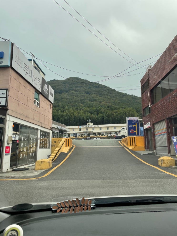  주례자동차검사소 & 학장동 총각정육백화점 