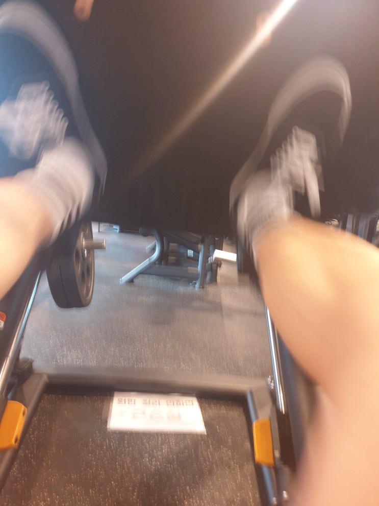  2022-09-30 하체 삼두 복근