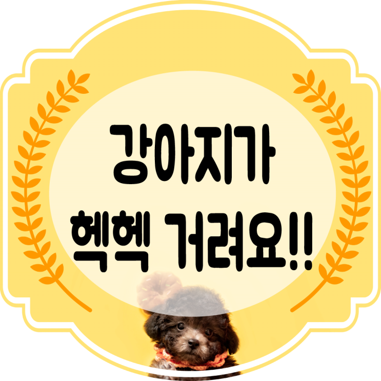  강아지가 헥헥거려요  이유를 알아보자 !!