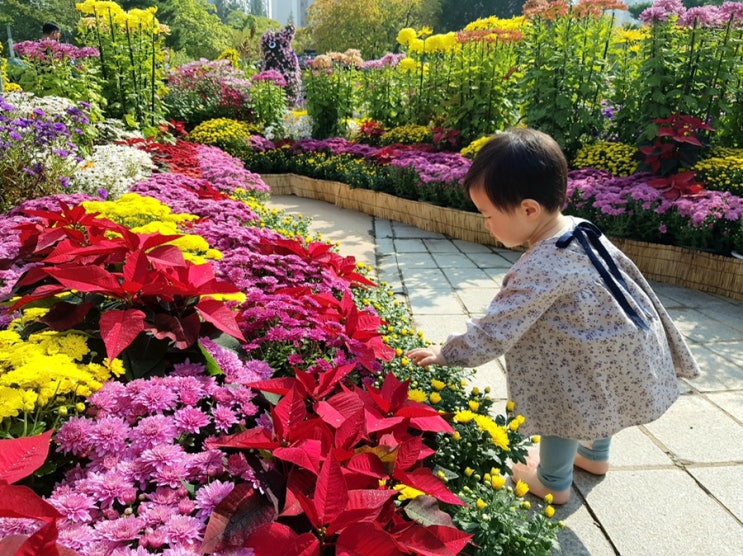  9월 4주차 주간일기_가을은 풍요로운 계절, 몸도 마음도 기분도 날씨도 모든게 좋은 Happy September