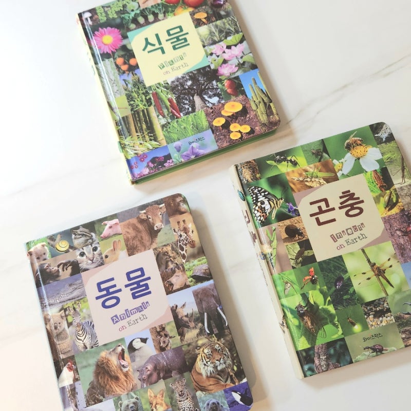 블로그 후기 사진