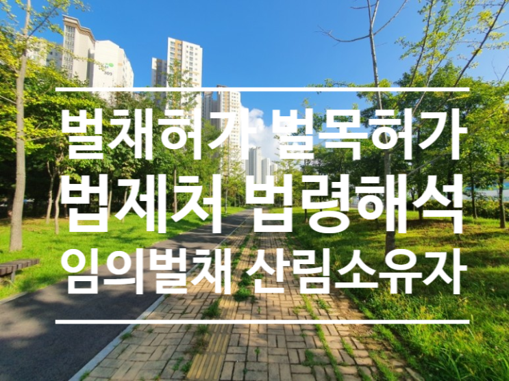  벌목허가 벌채허가 임의벌채 산림소유자 동의 법제처 법령해석 사례(법령해석 2탄)