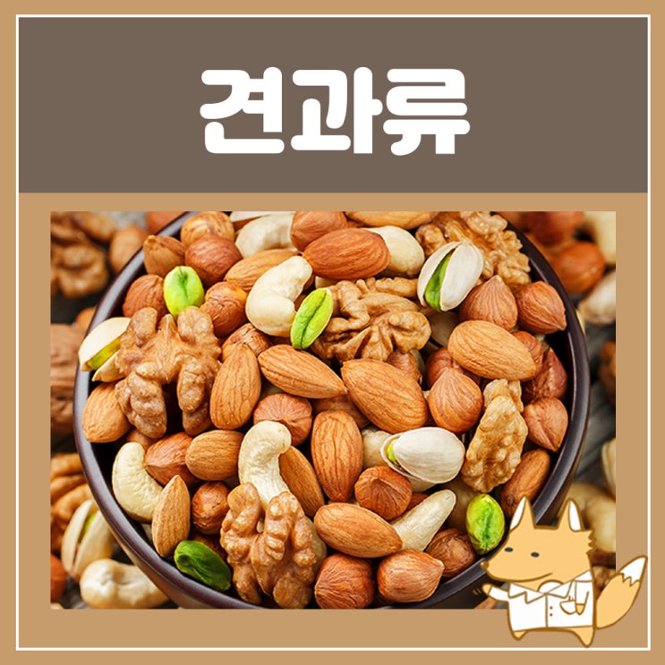  견과류 종류 효능 : 피스타치오 호박씨 땅콩껍질 잣 밤의 효능