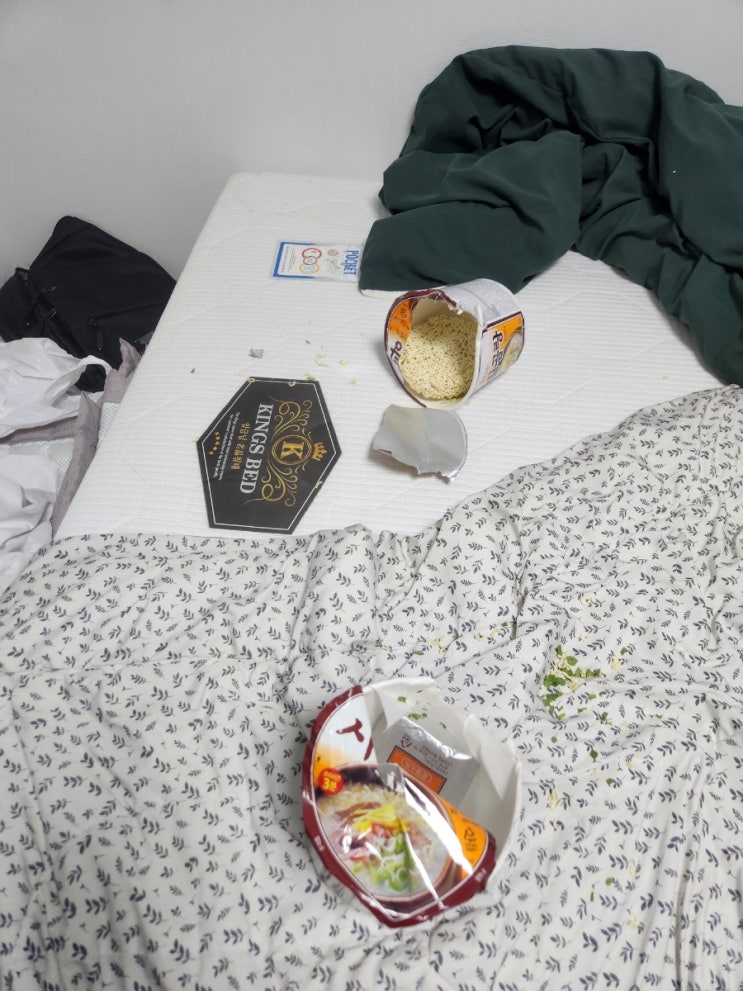 강아지 먹으면 안되는 음식 라면 강아지 먹으면 안되는 음식 라면
