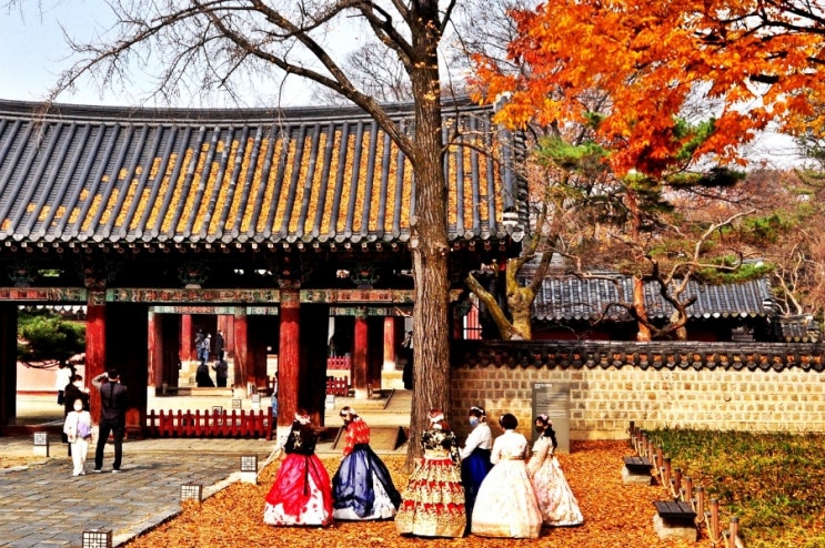  전주한옥마을 경기전 가을단풍 & 한복 (가을 전주 가볼만한 곳)