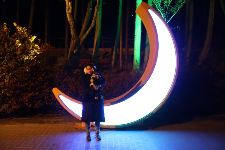  창원 가볼만한곳 강아지와 함께 밤산책하기 좋은 용지호수공원