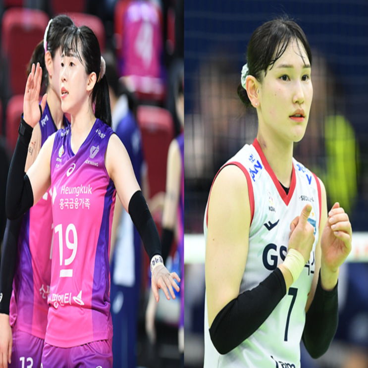 여자배구 흥국생명 GS칼텍스 1월 2일 경기예상(캣벨 김미연 최윤이 모마 강소휘 안혜진)