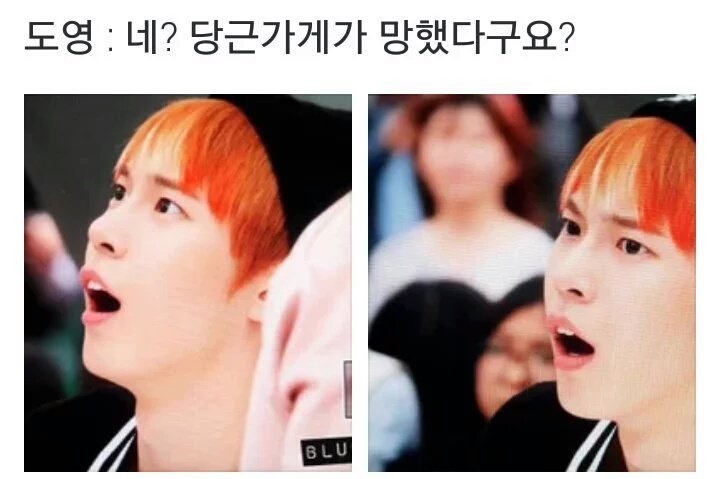 도영 토끼의 당근 가게 모먼트 도영 토끼의 당근 가게 모먼트