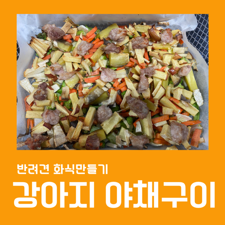  강아지 화식, 배추와 브로콜리, 고구마를 넣어 만든 야채구이