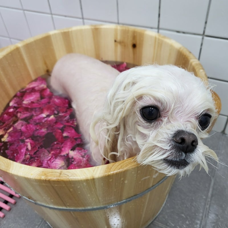 사진 6
