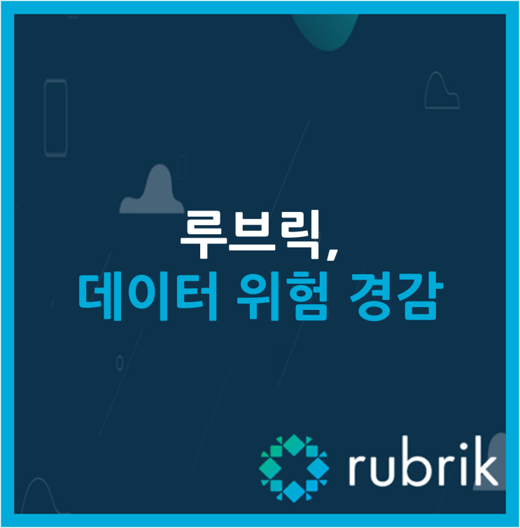  루브릭, 데이터 위험 경감