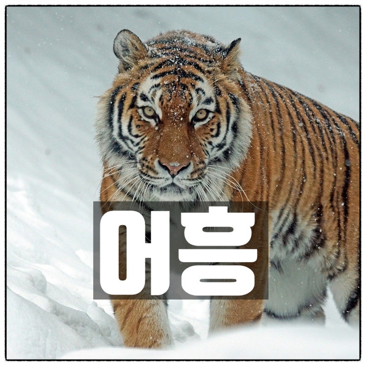 손대니의 소중한 이웃 여러분 새해 복 많이 받으세요. 손대니의 소중한 이웃 여러분 새해 복 많이 받으세요.