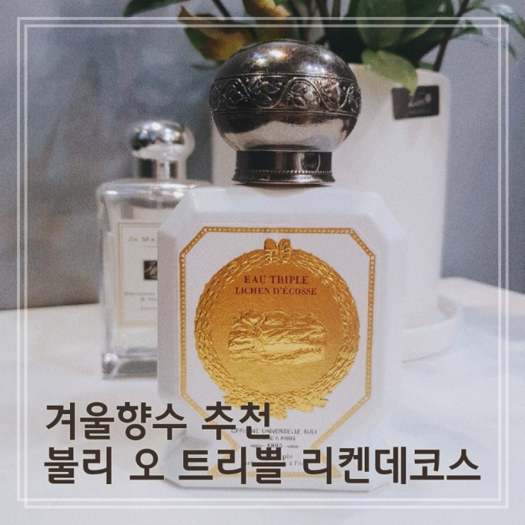  제품리뷰: 겨울향수 추천_불리 오 트리쁠 리켄 데코스