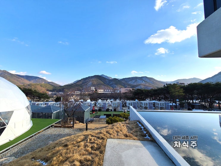  추천하는 동학사 카페와 맛집. 에어산 그리고 산시래기본가