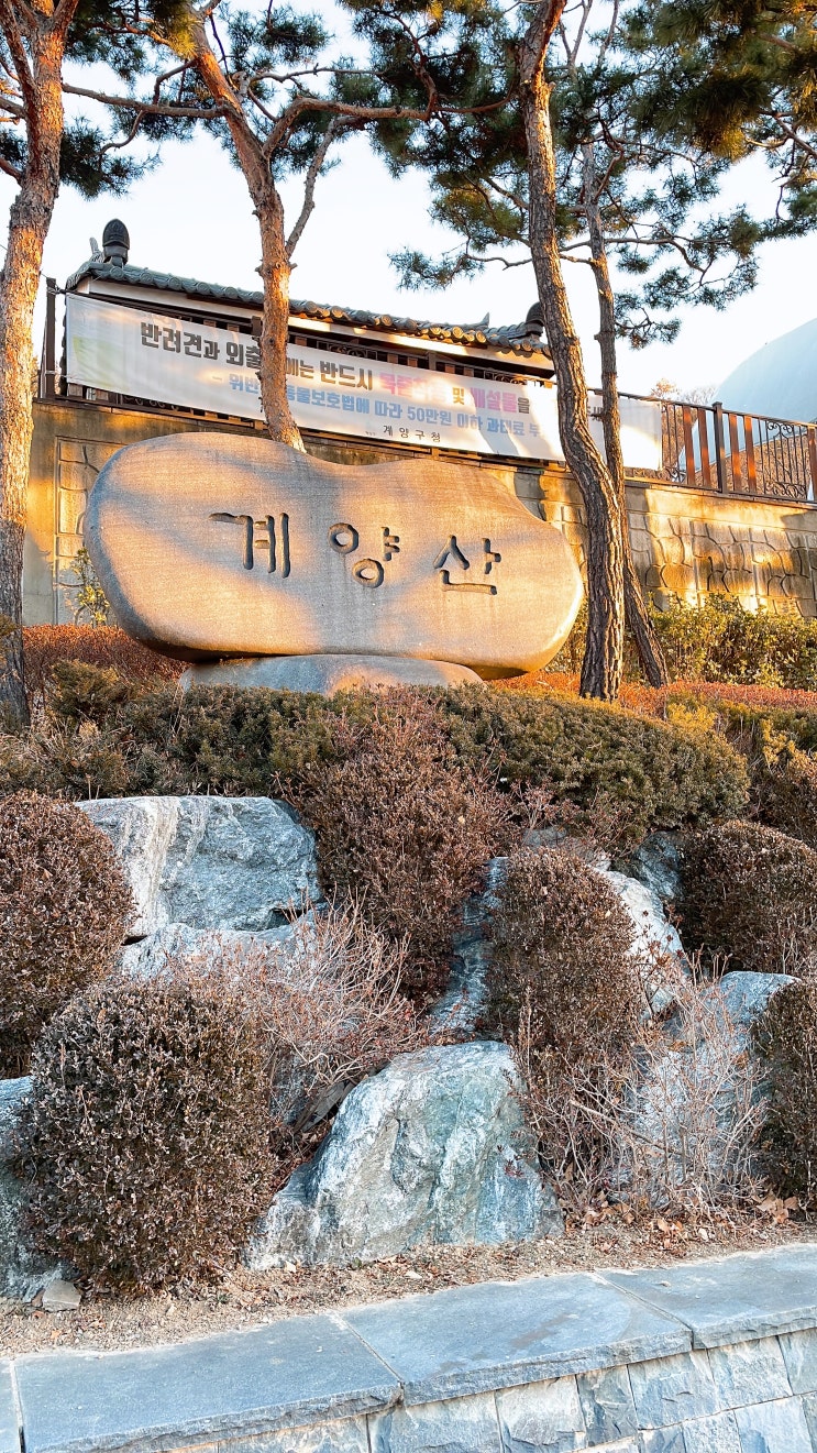  [계양] 계양산 등산 // 2022년 새해를 준비해 보았어요!
