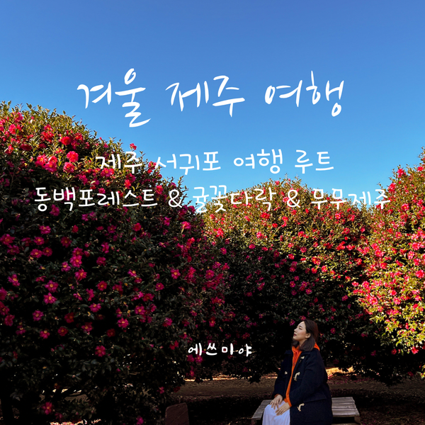  [겨울 제주 여행] 2일차 서귀포 여행 일정 동백꽃 보러 떠난 동백포레스트 / 카페 귤꽃다락 / 소품샵 무무 제주