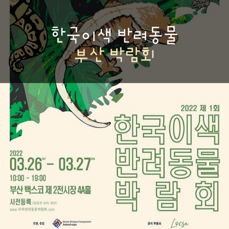  한국이색반려동물 박람회(부산 벡스코)