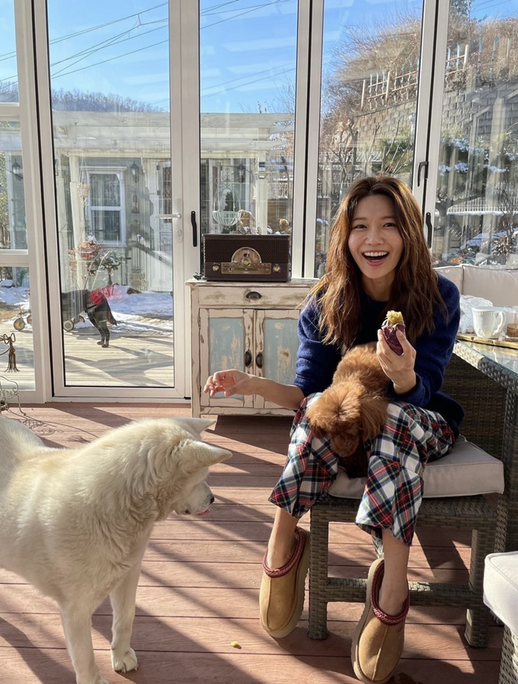  어그 슬리퍼 연예인 착용샷 : 수영   어그 ugg taze suede platform slipper clogs /taze mule
