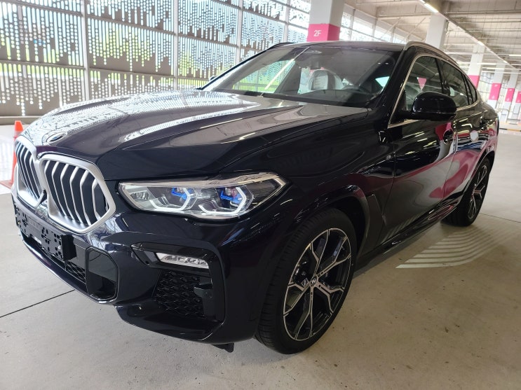  2021 BMW X6 xDrive 30d 정비사동행 출장신차검수 후기 / 하남신차검수