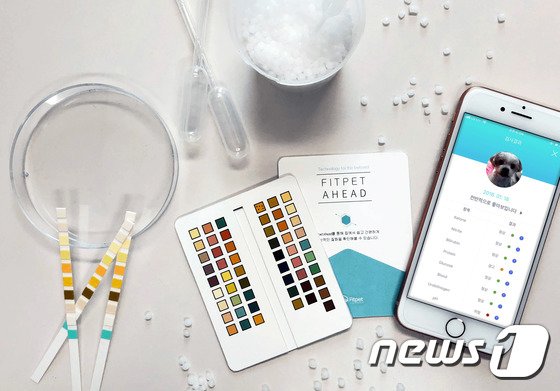 동물병원 문턱 낮춘 핏펫, 230억원 투자 유치…펫스타트업 중 최대 동물병원 문턱 낮춘 핏펫, 230억원 투자 유치…펫스타트업 중 최대