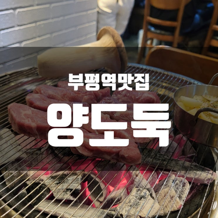  [부평역 맛집] 양도둑