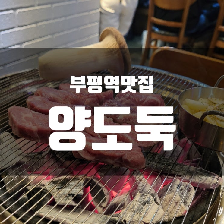 [부평역 맛집] 양도둑