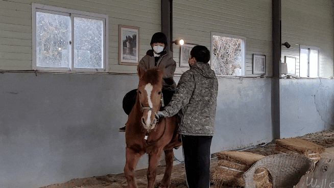  대동 승마랜드 부산근교어린이체험 김해 가볼 만한 곳