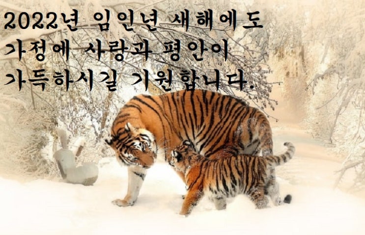  새해 복 많이 받으세요...