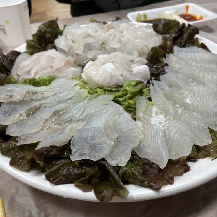  물치항 맛집 : 추천하고싶은 물치항회센터 철이네
