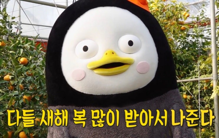  알고보면 빛빛빛빛과 동의어