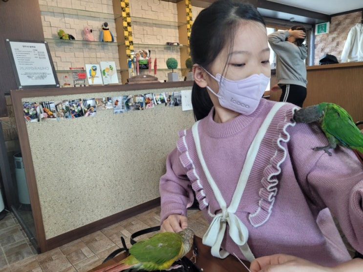  인천 서구 앵무새 카페_가볼만 한 곳