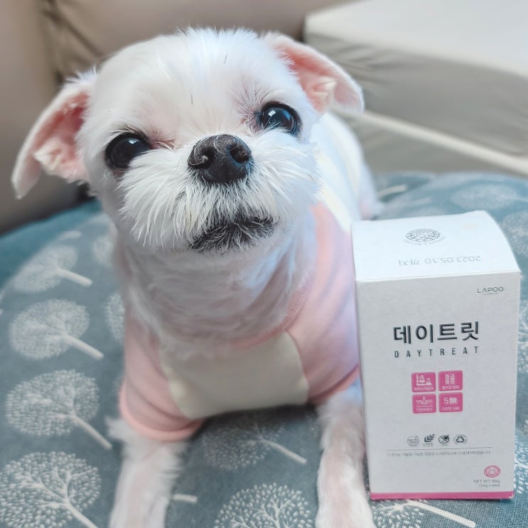  강아지피부영양제 라포그 데이트릿 스킨 먹여봤어요. 강아지종합영양제 추천 강아지피부건강