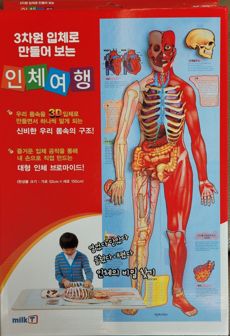  [milkT] 밀크티 3D 인체지도 만들기