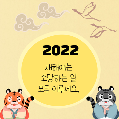 임인년, 흑호해가 밝았습니다.