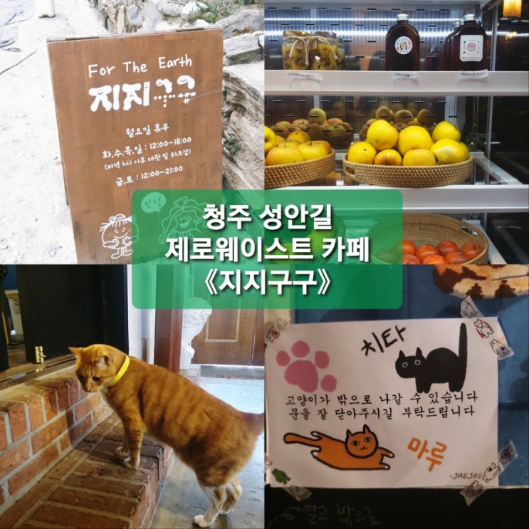  청주 시내 성안길 제로웨이스트 카페 《지지구구》 고양이 있는 카페