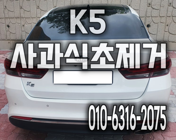  자동차시트분해세척 의자분리 가죽에 흘린 사과식초제거 K5 하남출장세차