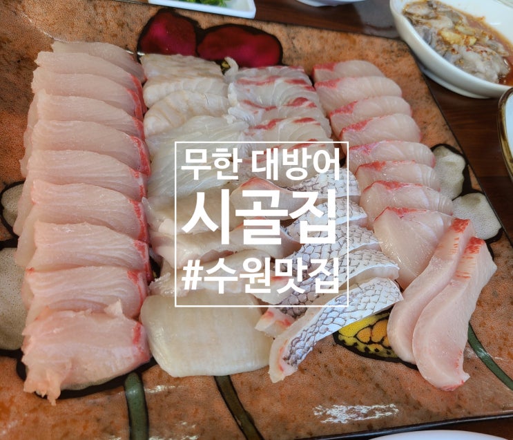  [수원맛집] 대방어 무한리필 시골집우렁이쌈밥