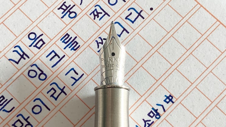  희망이라고 씁니다 (명시 필사 ft. 파카 소네트 F닙 만년필 실제 사용 영상)