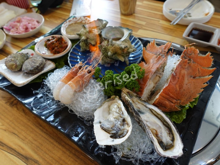 횟집 찾을 땐 제주 한림 맛집 톤대섬(찐맛집, 강력추천)