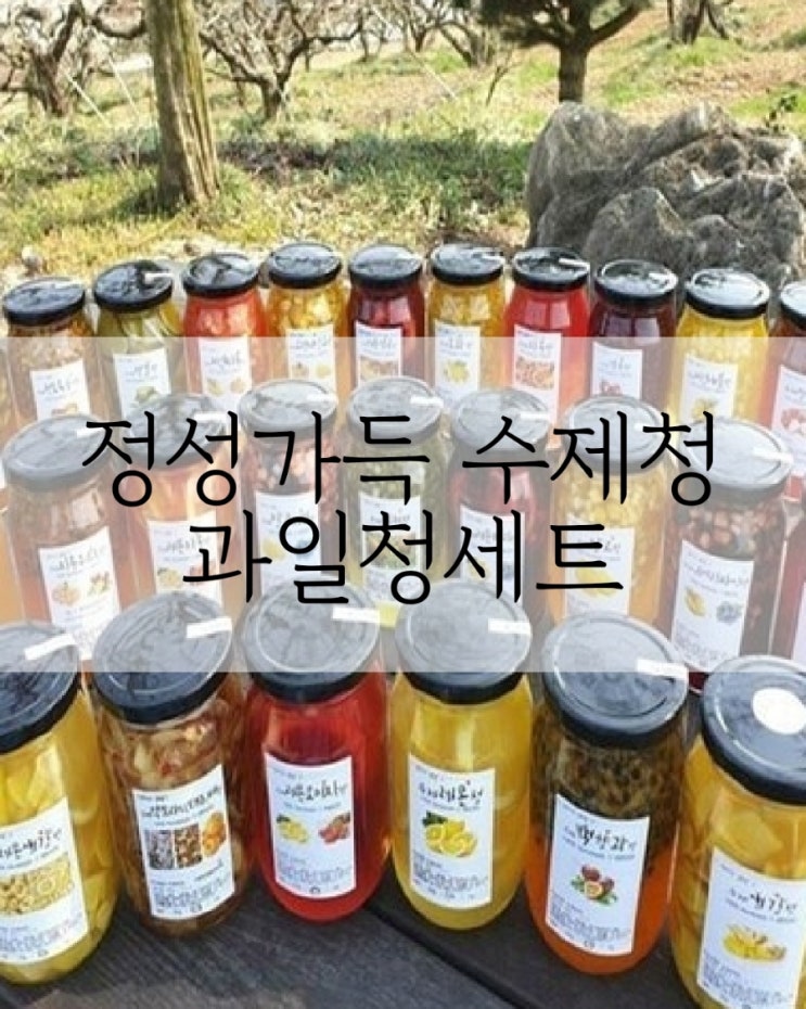  무료배송 정성가득 수제청 과일청세트 선물포장 답례품 선물추천 감기예방