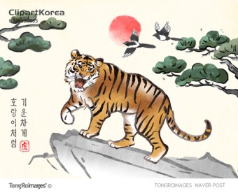  2022년 임인년 삼재띠?! 좋은띠~^^